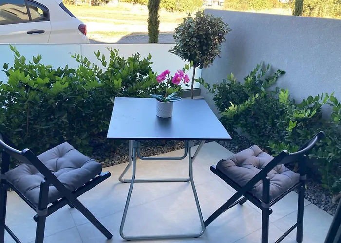 Artion Cozy * نيكيتي